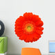 Red Gerber Wall Decal