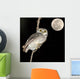 Owl Bird