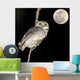 Owl Bird