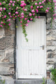 Trailing Roses on Garden Door Wall Mural