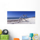 Driftwood Beach Anacon