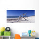 Driftwood Beach Anacon