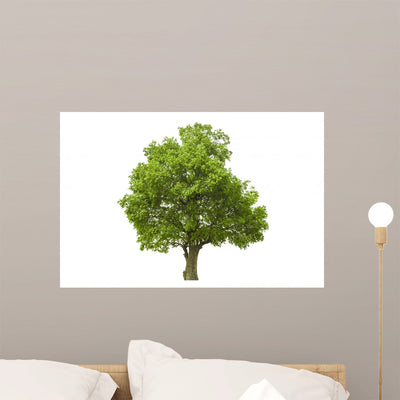 Tree with White shown on a wall