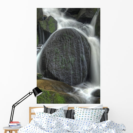 Wasserfall im Schwarzwald Wall Mural