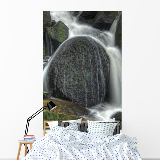 Wasserfall im Schwarzwald Wall Mural