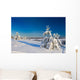 Winter wood landscape with a snow on branches Wall Mural