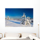 Winter wood landscape with a snow on branches Wall Mural
