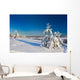 Winter wood landscape with a snow on branches Wall Mural