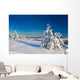 Winter wood landscape with a snow on branches Wall Mural