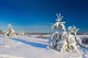 Winter wood landscape with a snow on branches Wall Mural