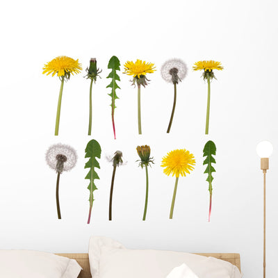 Dandelion Flowers and Leaves Wall Decal shown on a wall
