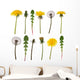 Dandelion flowers and leaves isolated on white Wall Decal