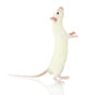 Funny Little Rat, Isolated on White Wall Decal