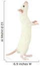Funny Little Rat, Isolated on White Wall Decal