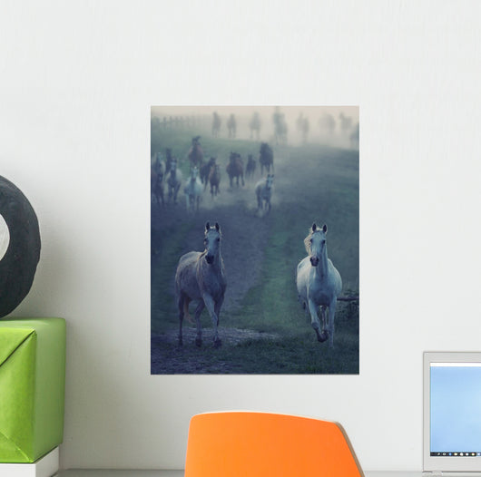 Wild Horses Running through