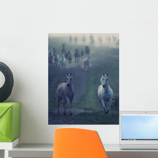 Wild Horses Running through
