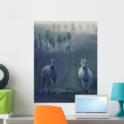 Wild Horses Running through