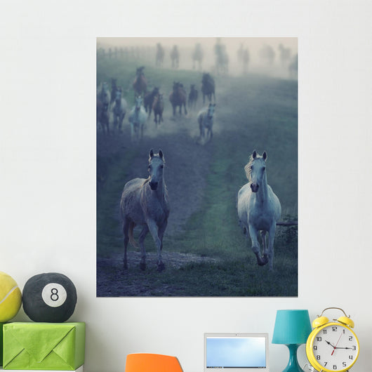 Wild Horses Running through