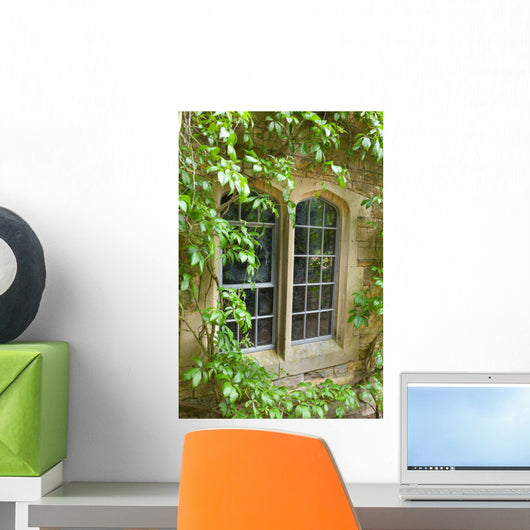 Stone Window with Climbing Wall Mural
