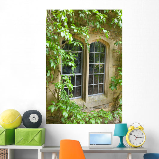 Stone Window with Climbing Wall Mural