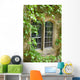 Stone Window with Climbing Wall Mural