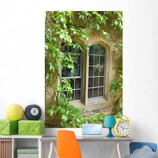 Stone Window with Climbing Wall Mural