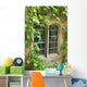 Stone Window with Climbing Wall Mural