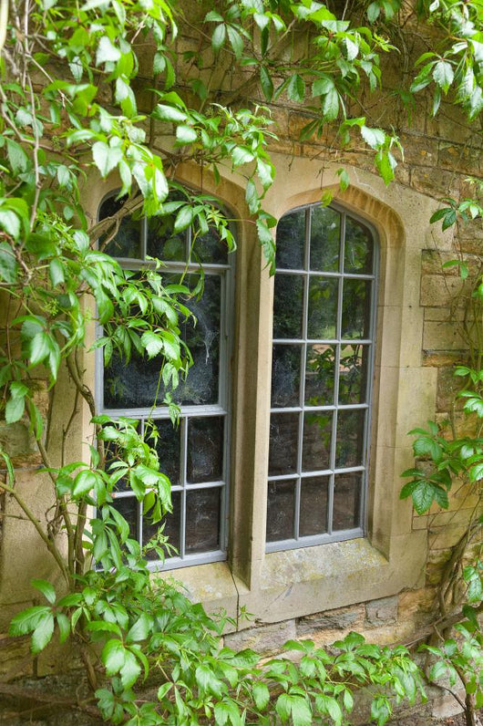Stone Window with Climbing Wall Mural