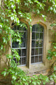 Stone Window with Climbing Wall Mural