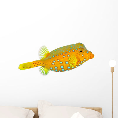 Yellow Boxfish Ostracion Cubicus Wall Decal shown on a wall