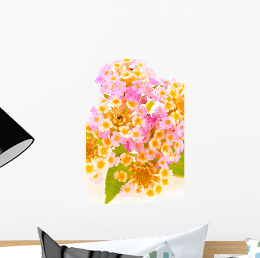 Lantana Wall Mural