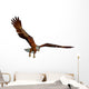 American Bald Eagle 3D Wall Mural