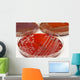 Cultures Wall Mural