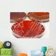 Cultures Wall Mural