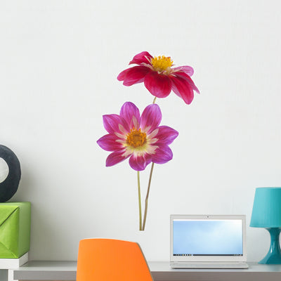Dahlia Wall Decal shown on a wall