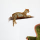 Cheetah Wall Decal