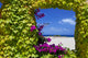 Natural Window With Petunias Wall Mural