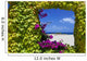 Natural Window With Petunias Wall Mural