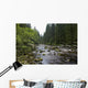 Mountain River