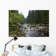 Mountain River