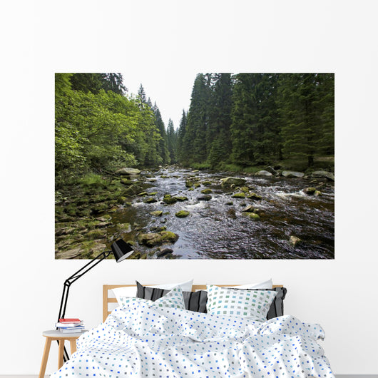 Mountain River