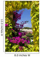 Window Covered With Ivy and Petunia Flowers Wall Mural