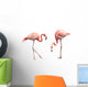 Two Flamingo