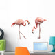 Two Flamingo