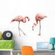 Two Flamingo