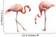 Two Flamingo