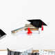 Grad Hat with Diploma