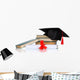 Grad Hat with Diploma