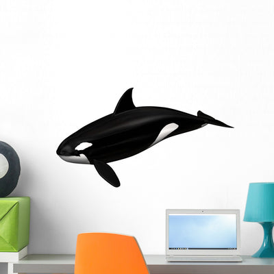 Killer Whale Wall Decal shown on a wall