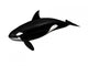 Killer Whale Wall Decal